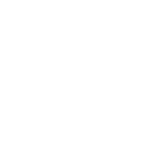 Embedded Video Matrix Processor