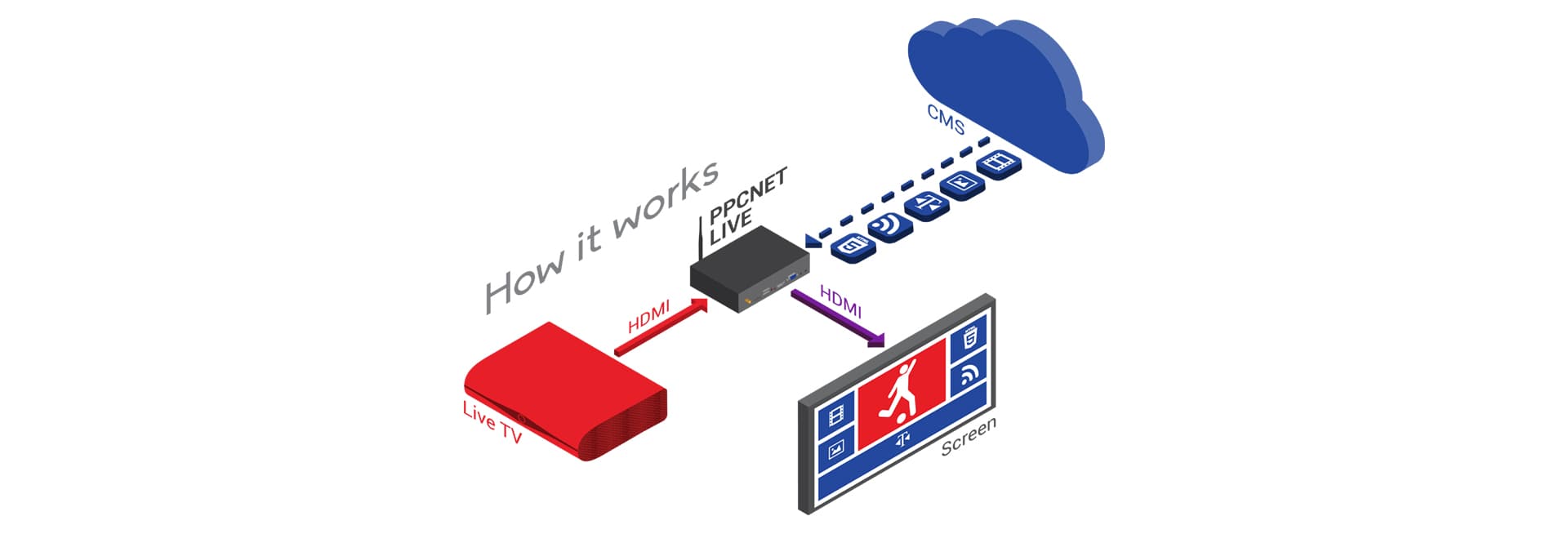 Digital Signage Multimedia Players with Software