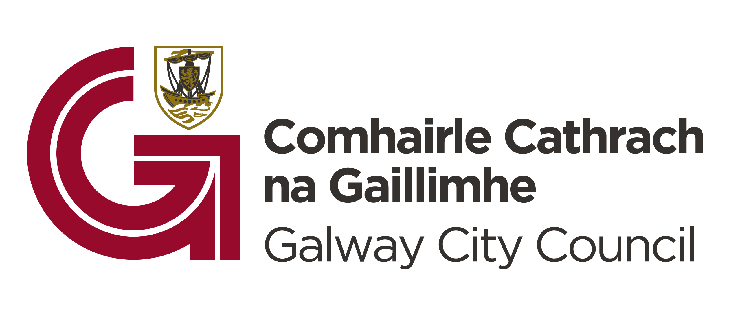 galway-council-logo